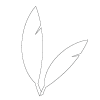 Clearfeather Logo