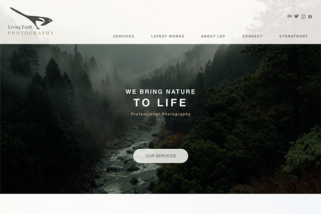Portfolio Images