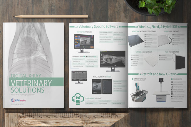 Portfolio Images